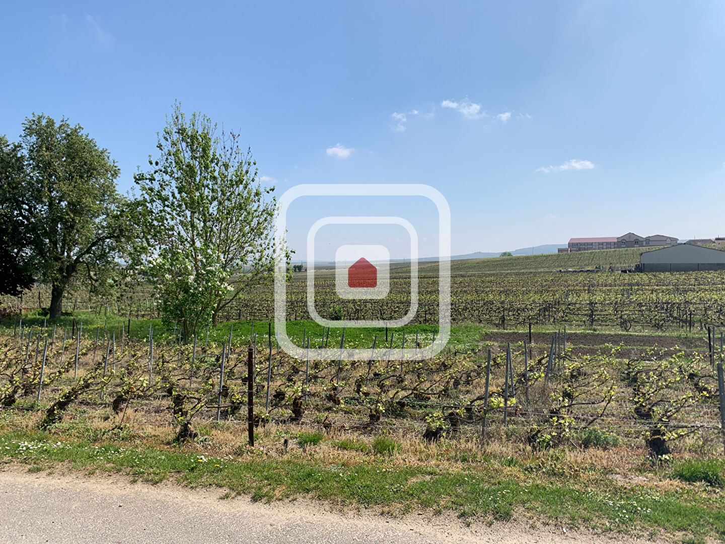 Agence immobilière de D'Erlon Immobilier - Habitat Centre