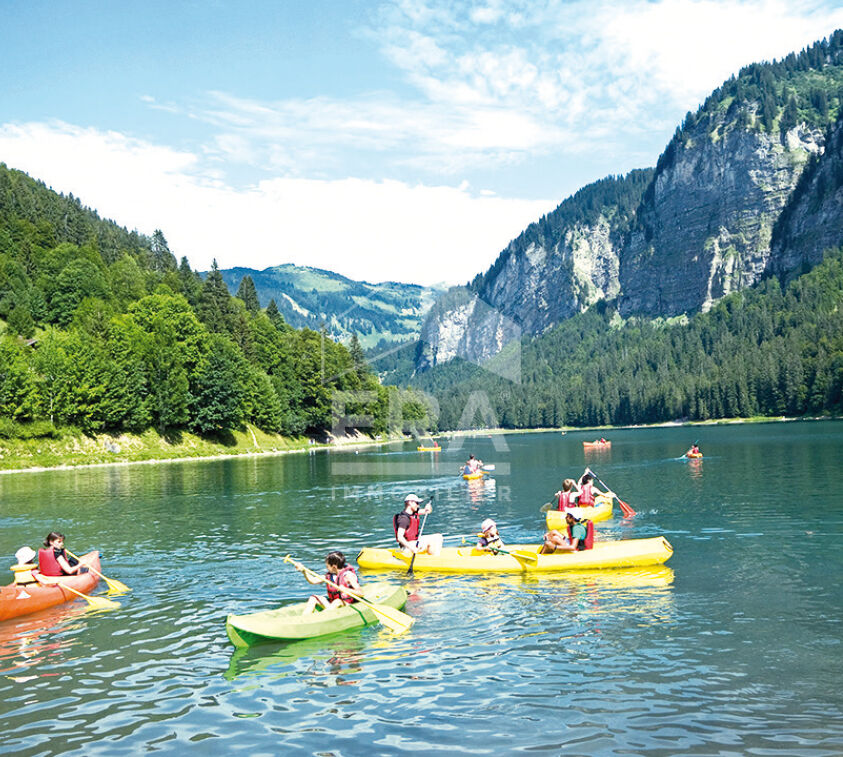 Photo Appartement Montriond 3 pièce(s) 107,02 m2 image 3/4