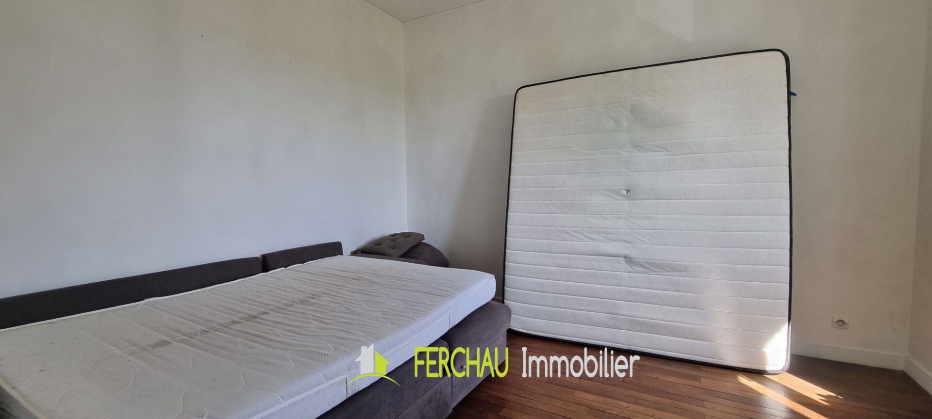 Photo TEILLÉ image 6/6