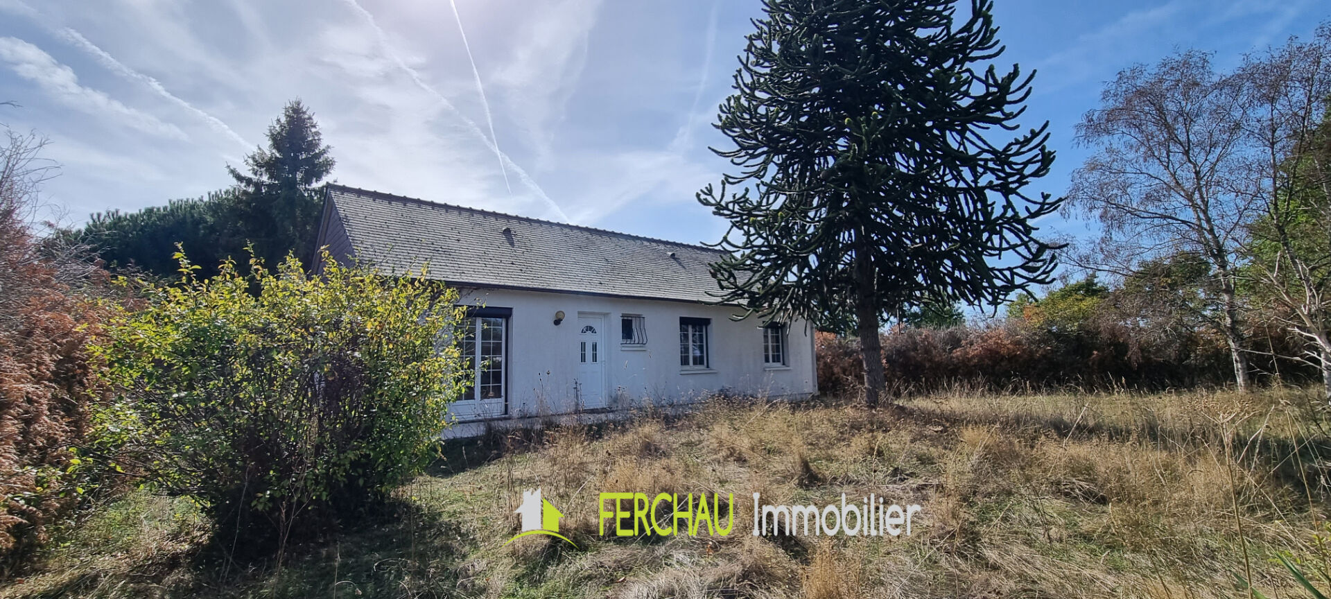 Agence immobilière de Ferchau immobilier