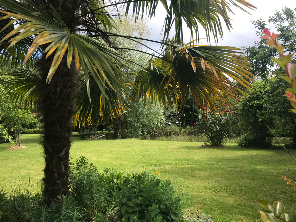 Photo VENDU image 2/6