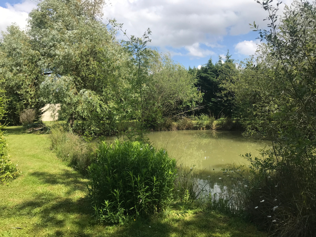 Photo VENDU image 3/6