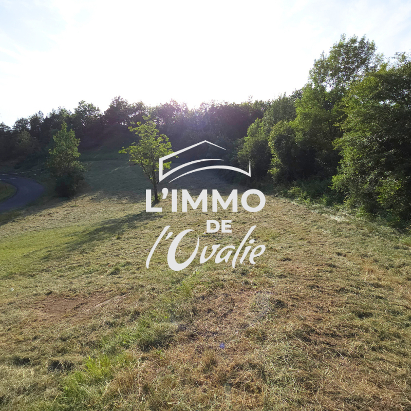 Terrain constructible Curemonte 3752 m2