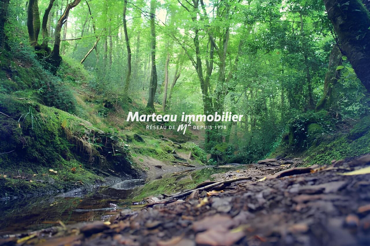 Terrain de loisirs Flee