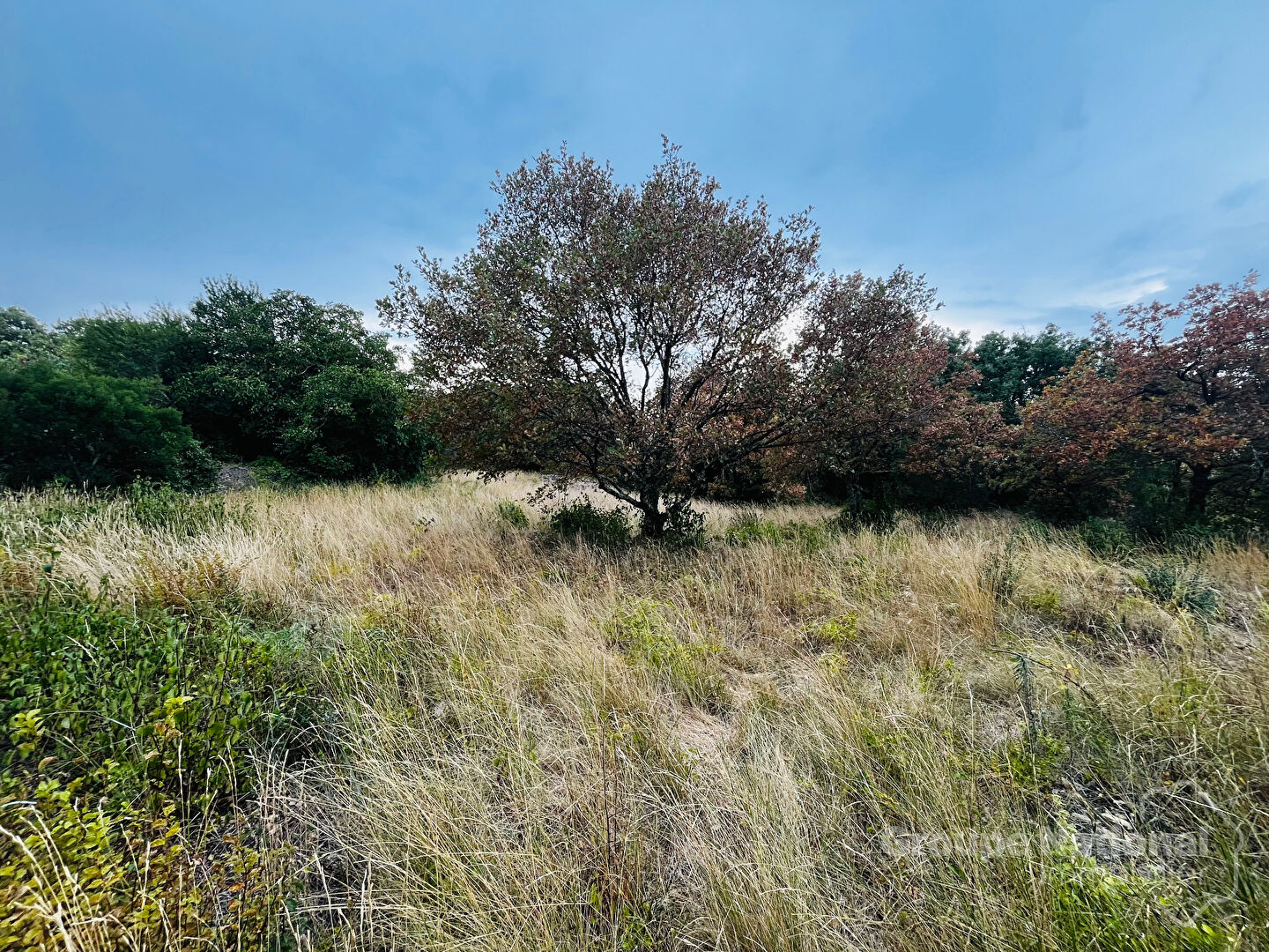 Agence immobilière de Midimas Immobilier Goudargues