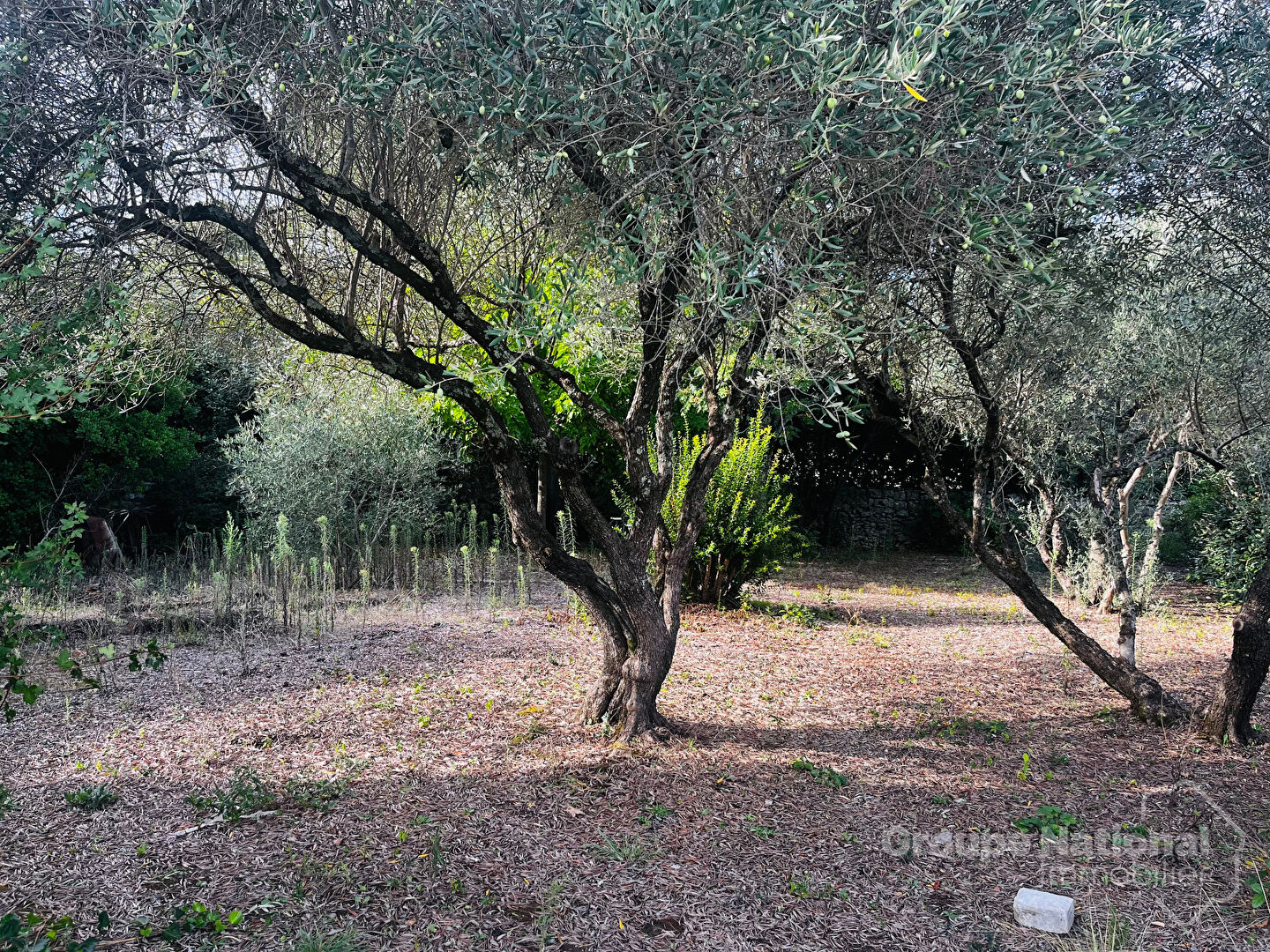 Agence immobilière de Midimas Immobilier Goudargues