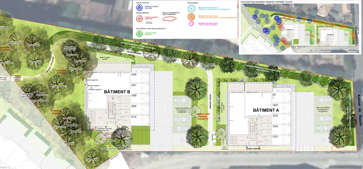 Photo THONON quartier Ripaille / Concise - T2 en rez avec garage, parking et cave image 3/6