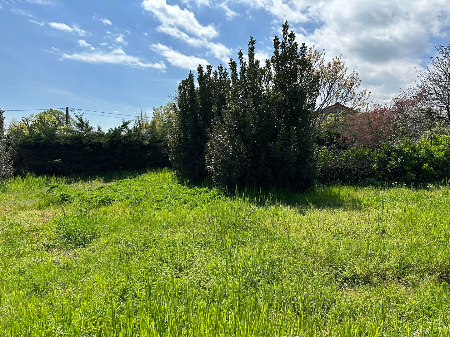 Photo Au calme, terrain Vaugneray 764 m2 image 2/5