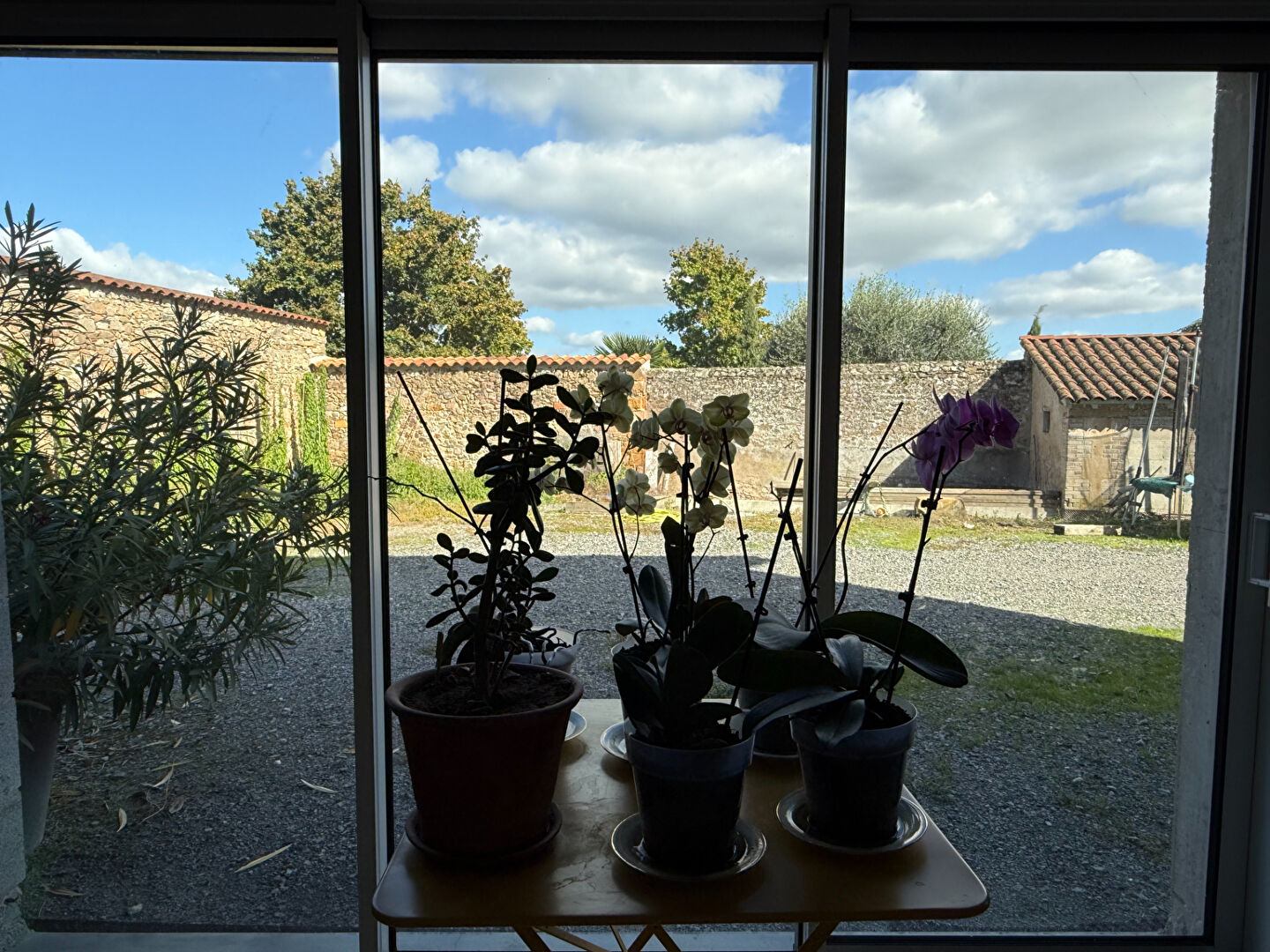 Photo LENTILLY Centre Ancienne grange rénovée avec charme et beaux volumes image 4/6