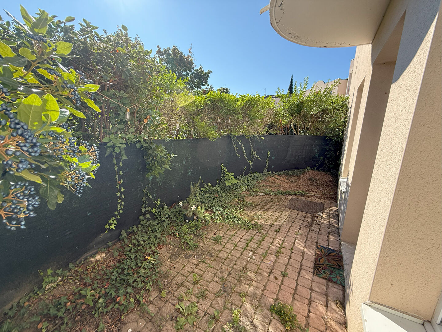 Photo EXCLUSIVITE. T-2 avec terrasse - Plein Centre image 5/6