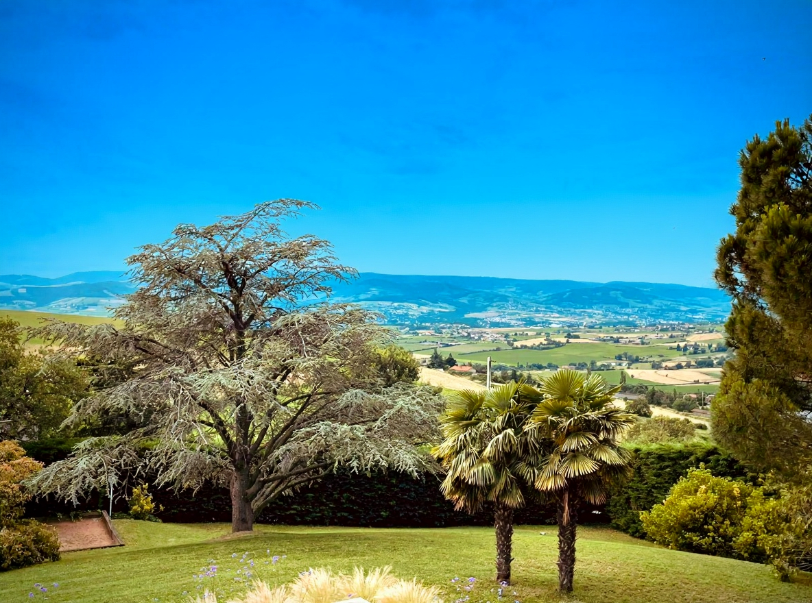 Photo CHABANIERE - Terrain  à bâtir image 1/5
