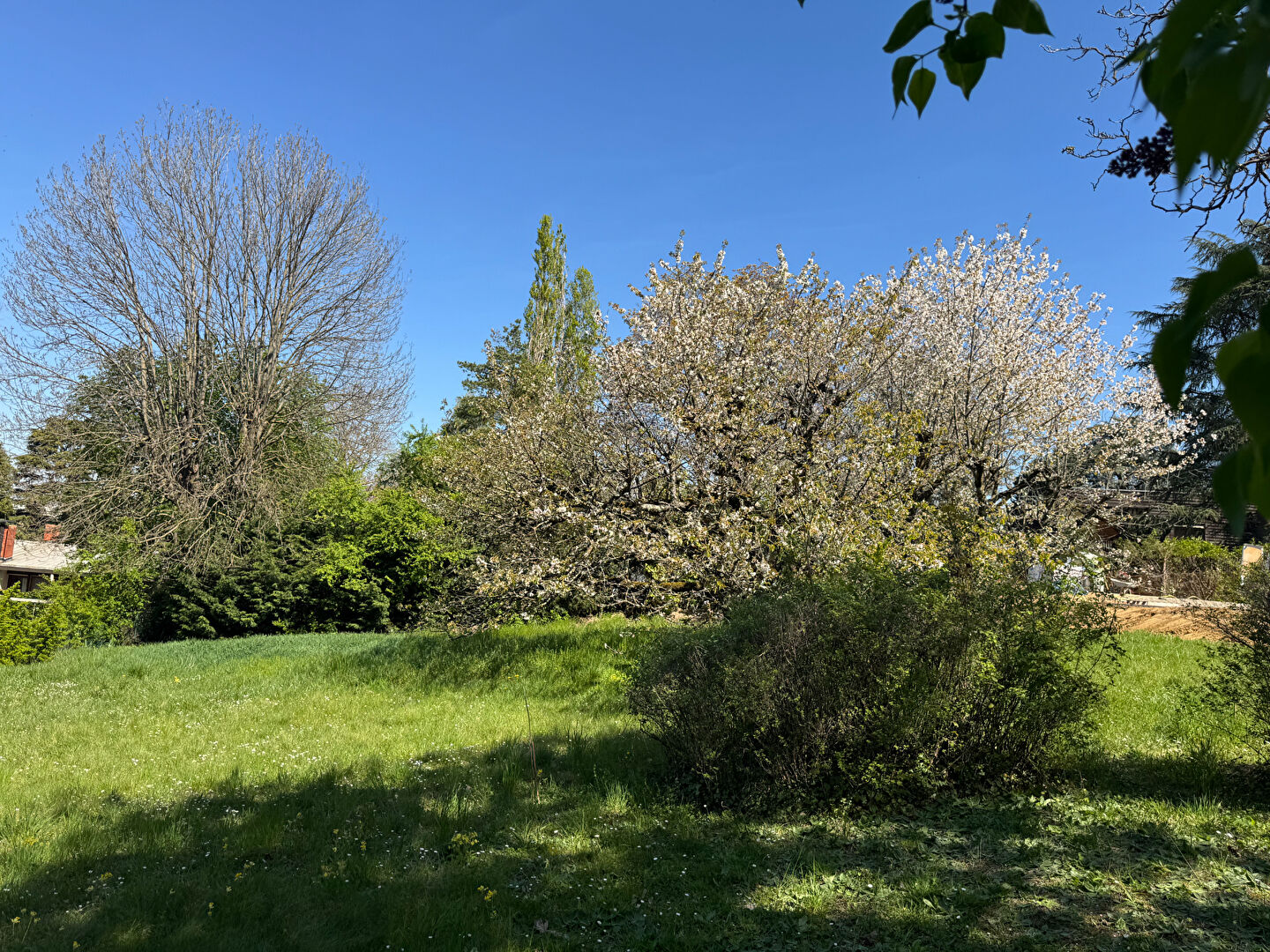 Photo Superbe parcelle + 1230  m² calme avec vue sur Monts du Lyonnais image 3/5