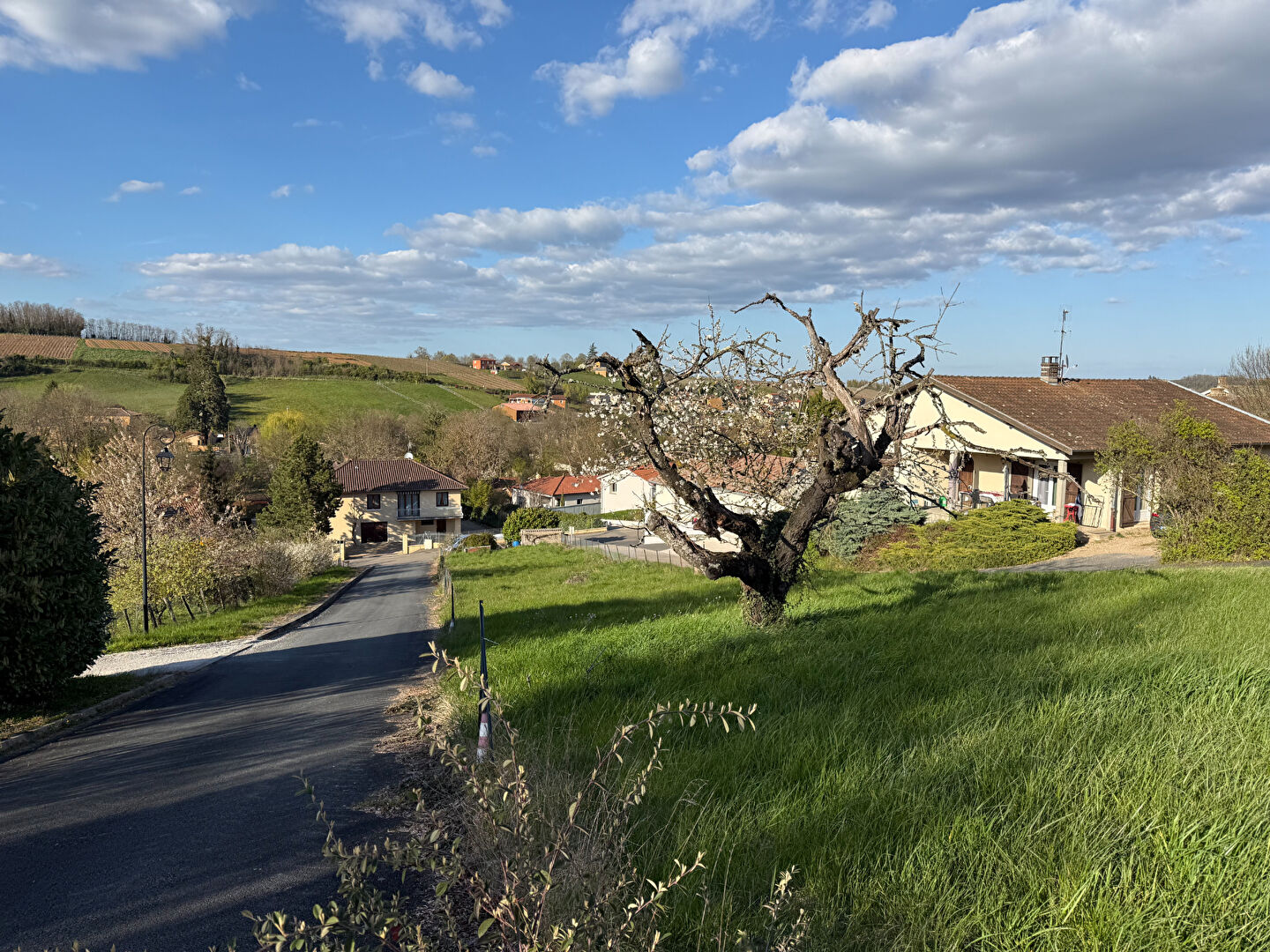 Agence immobilière de SÉLECTION IMMOBILIER - SÉLECTION IMMOBILIER Liergues