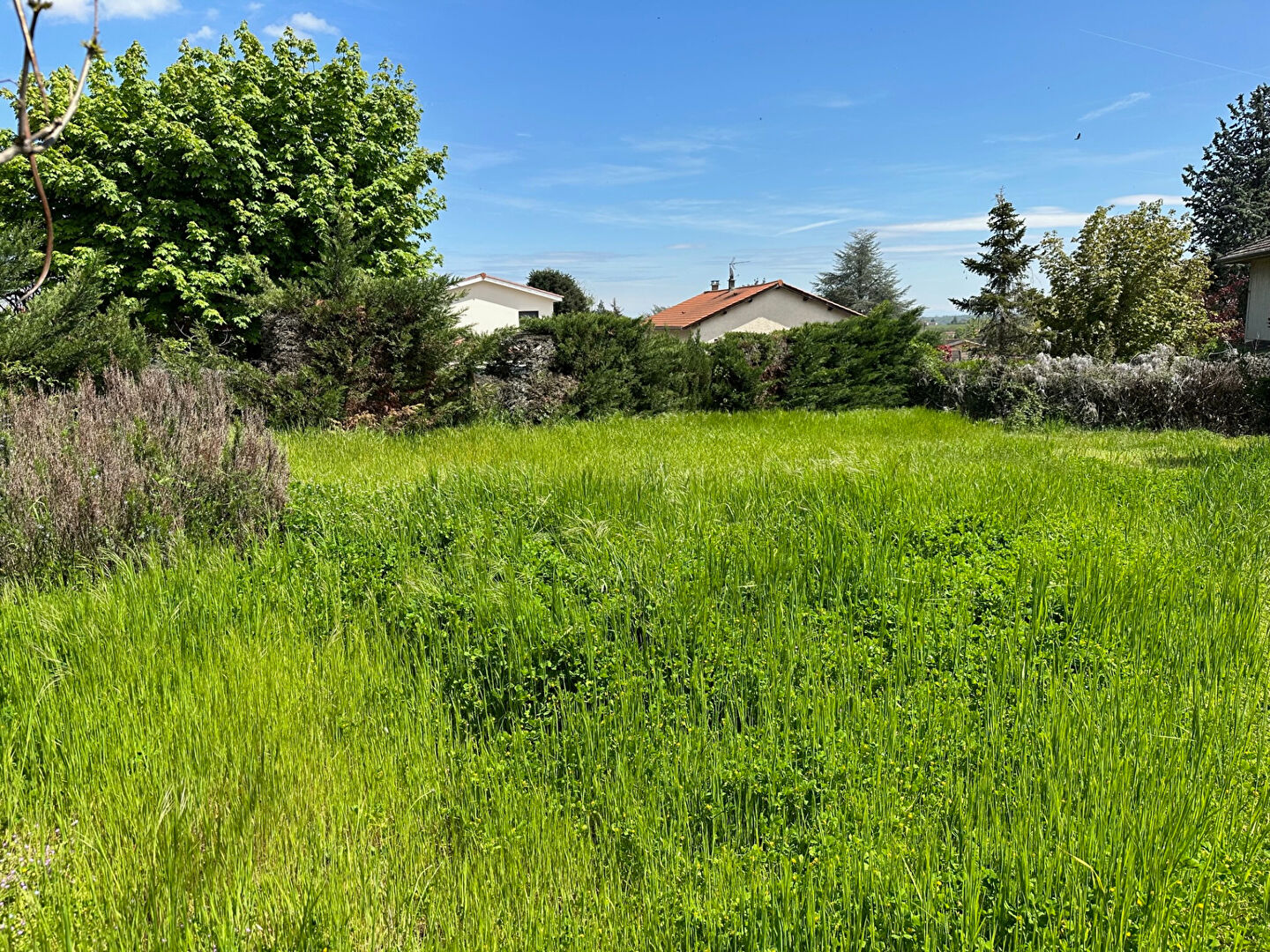 Agence immobilière de SÉLECTION IMMOBILIER - SÉLECTION IMMOBILIER Grezieu la Varenne
