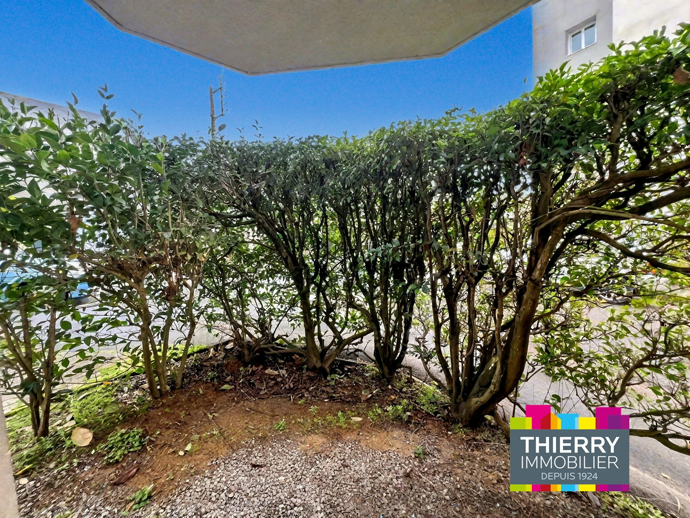 Photo TORTIÈRE/ERDRE image 3/6