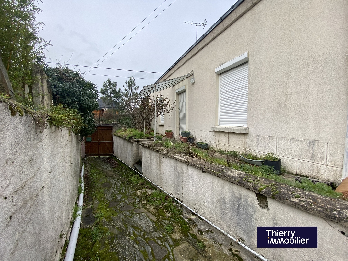 Agence immobilière de THIERRY IMMOBILIER Angers