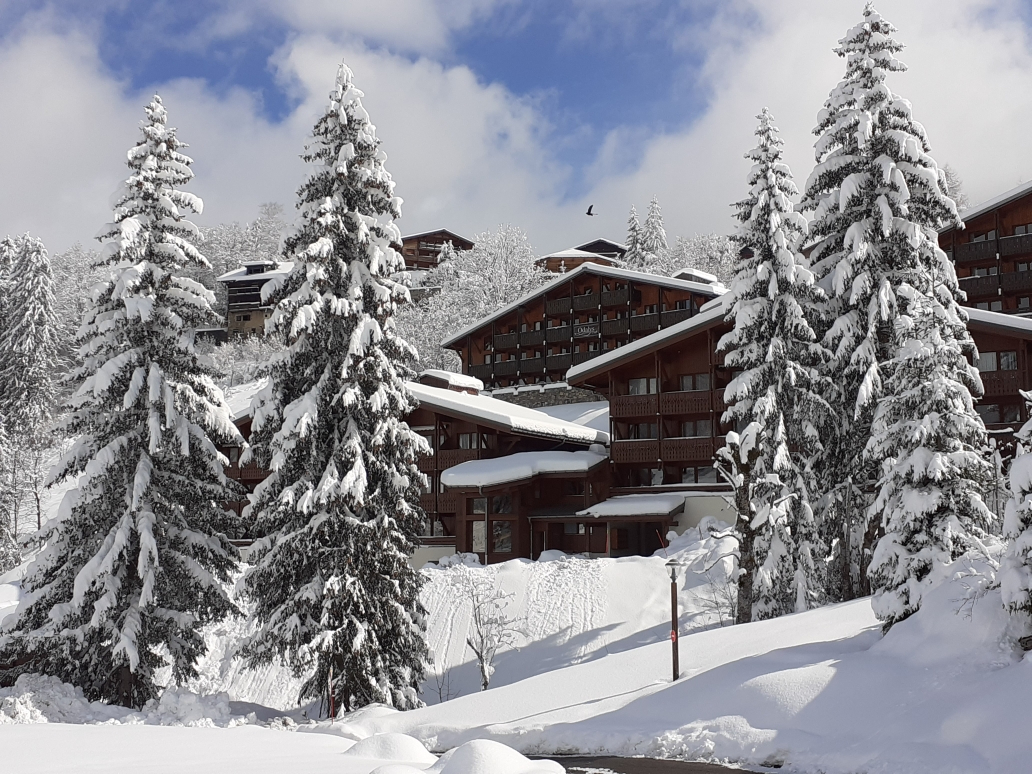 Agence immobilière de VALLAT DEVELOPPEMENT ET PARTICIPATIONS - VALLAT MEGEVE VG