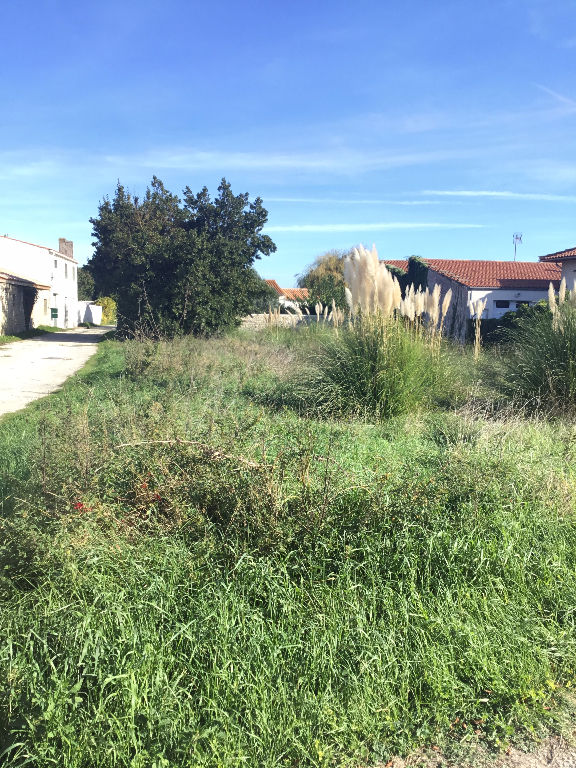 Terrain Dolus d'Oléron 607 m2