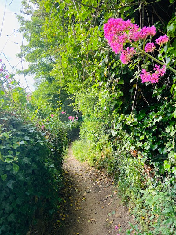 TERRAIN DE LOISIRS - PORT DU LEGUE