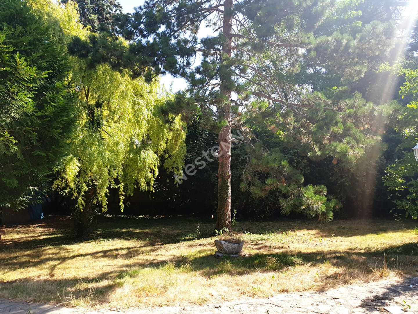 Agence immobilière de SOLVIMO TORCY - SOLVIMO TORCY