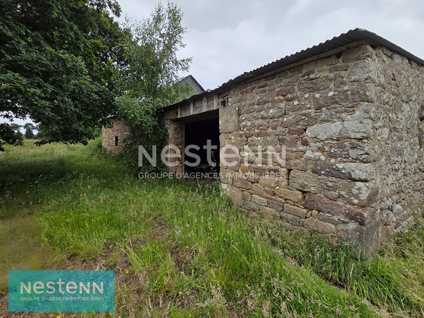 Plaine-Haute - Grange en pierre de 90 m² avec potentiel d'habitation