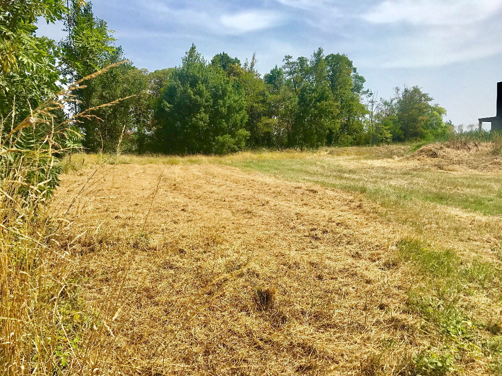 Plaisance du Touch Terrain 714m² viabilisé PlaisanceduTouch 31830