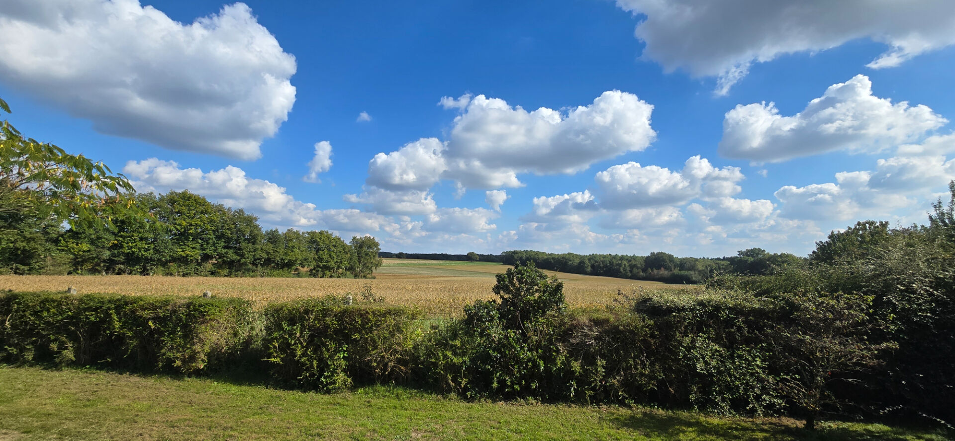 Photo 10 Min de Loches: Propriété sur plus d'1 hectare image 3/6