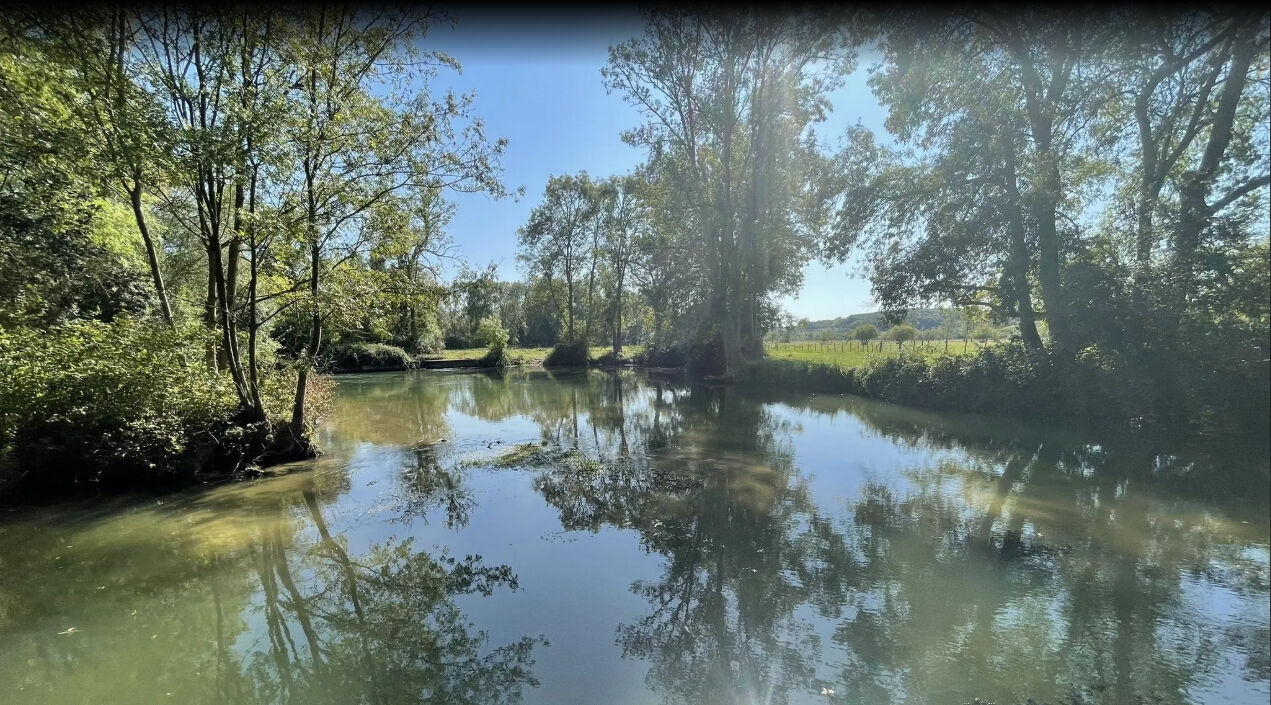 Photo Domaine forestier image 1/2