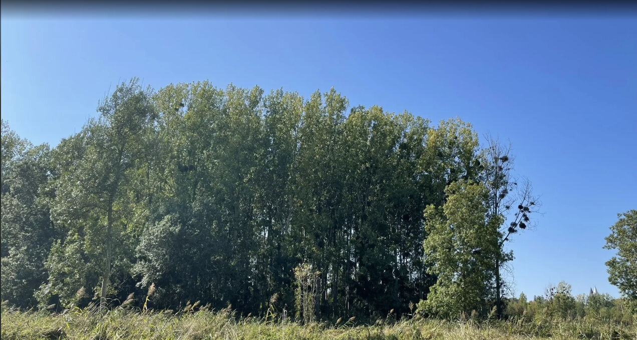 Photo Domaine forestier image 2/2
