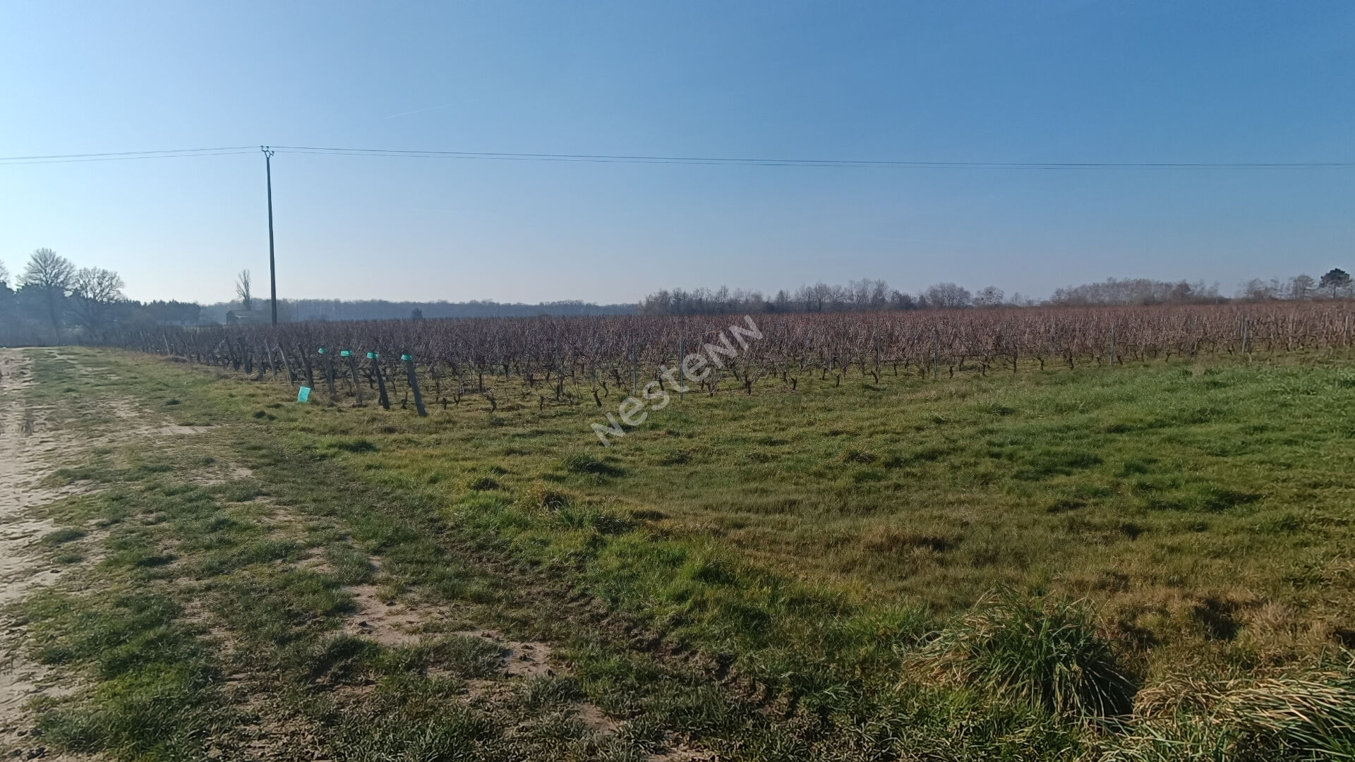 Photo Domaine viticole MARTINET Jean-Claude image 2/2