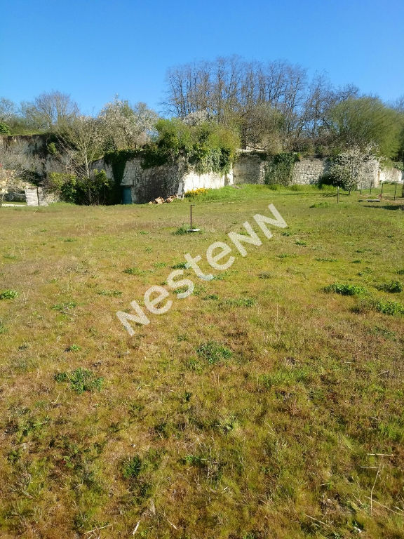 Photo Beaulieu Les Loches : Terrain à construire image 4/5