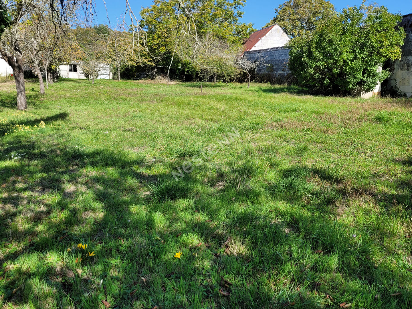Photo Terrain constructible avec garage : Loches: - Centre ville image 2/6