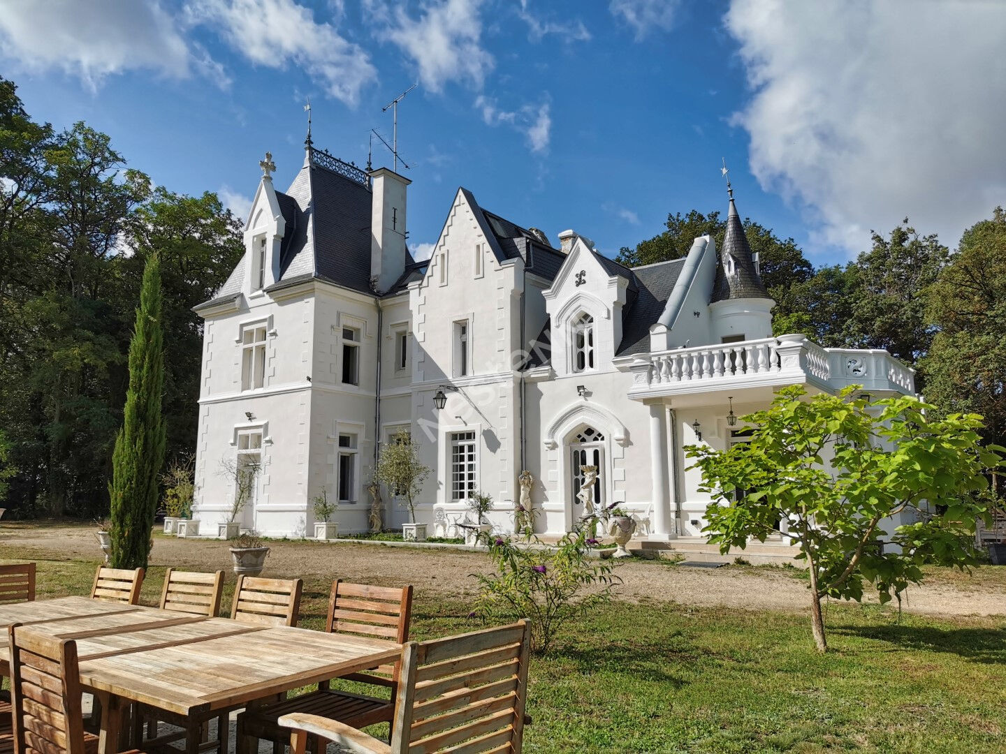Elegant Chateau sur 30 Hectares avec vue