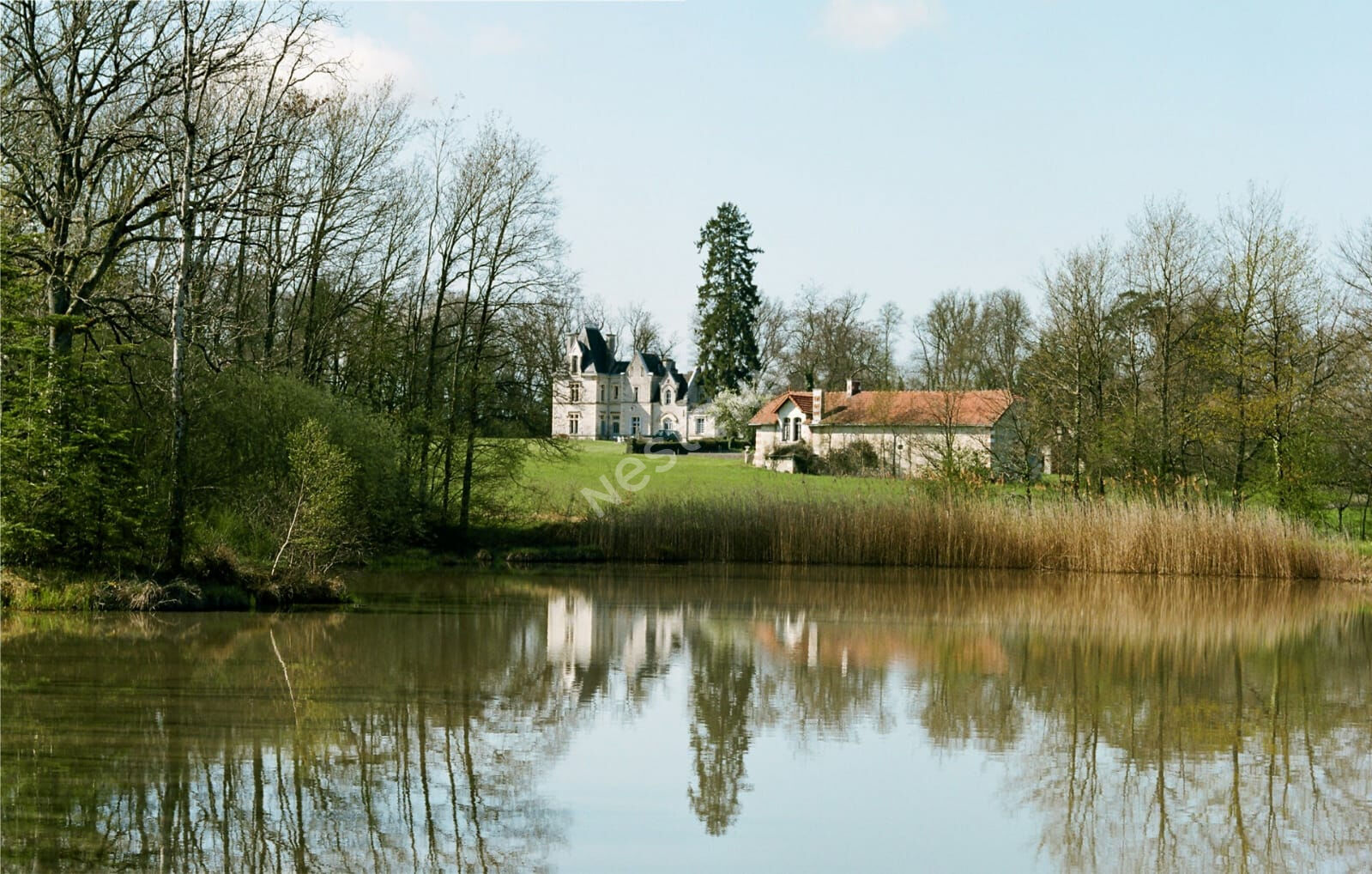 Photo Elegant Chateau sur 30 Hectares avec vue image 2/6