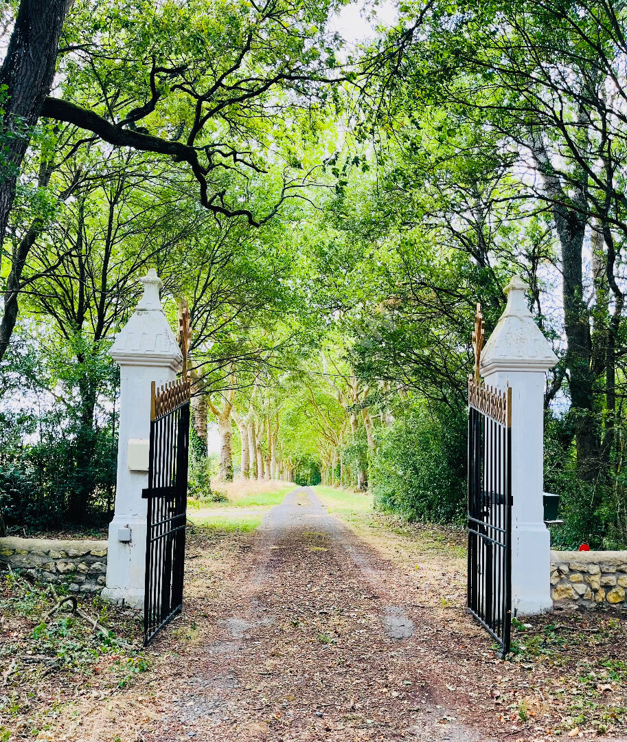 Photo Elegant Chateau sur 30 Hectares avec vue image 4/6