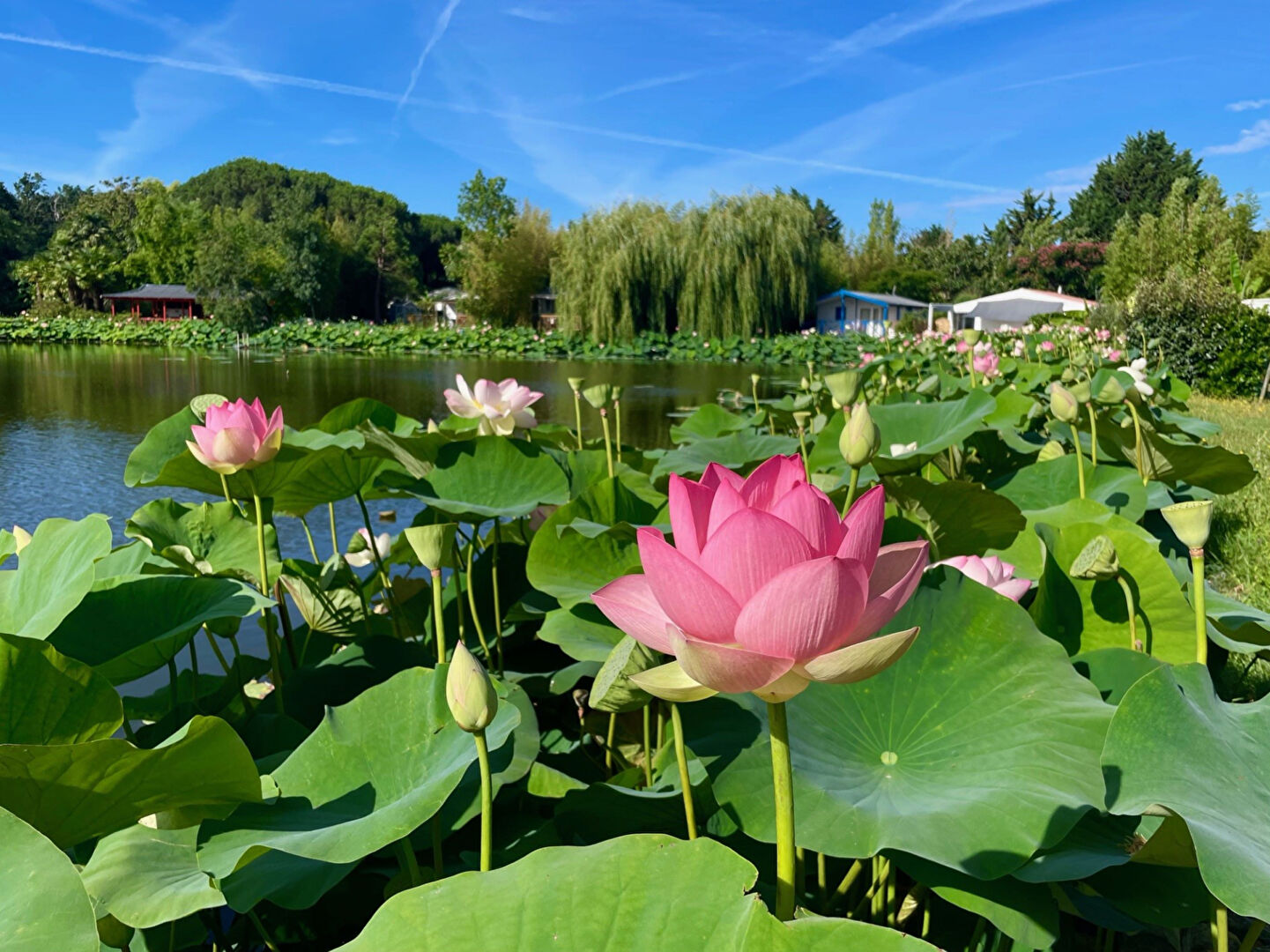 CHALET DANS PARC A L'ANNEE