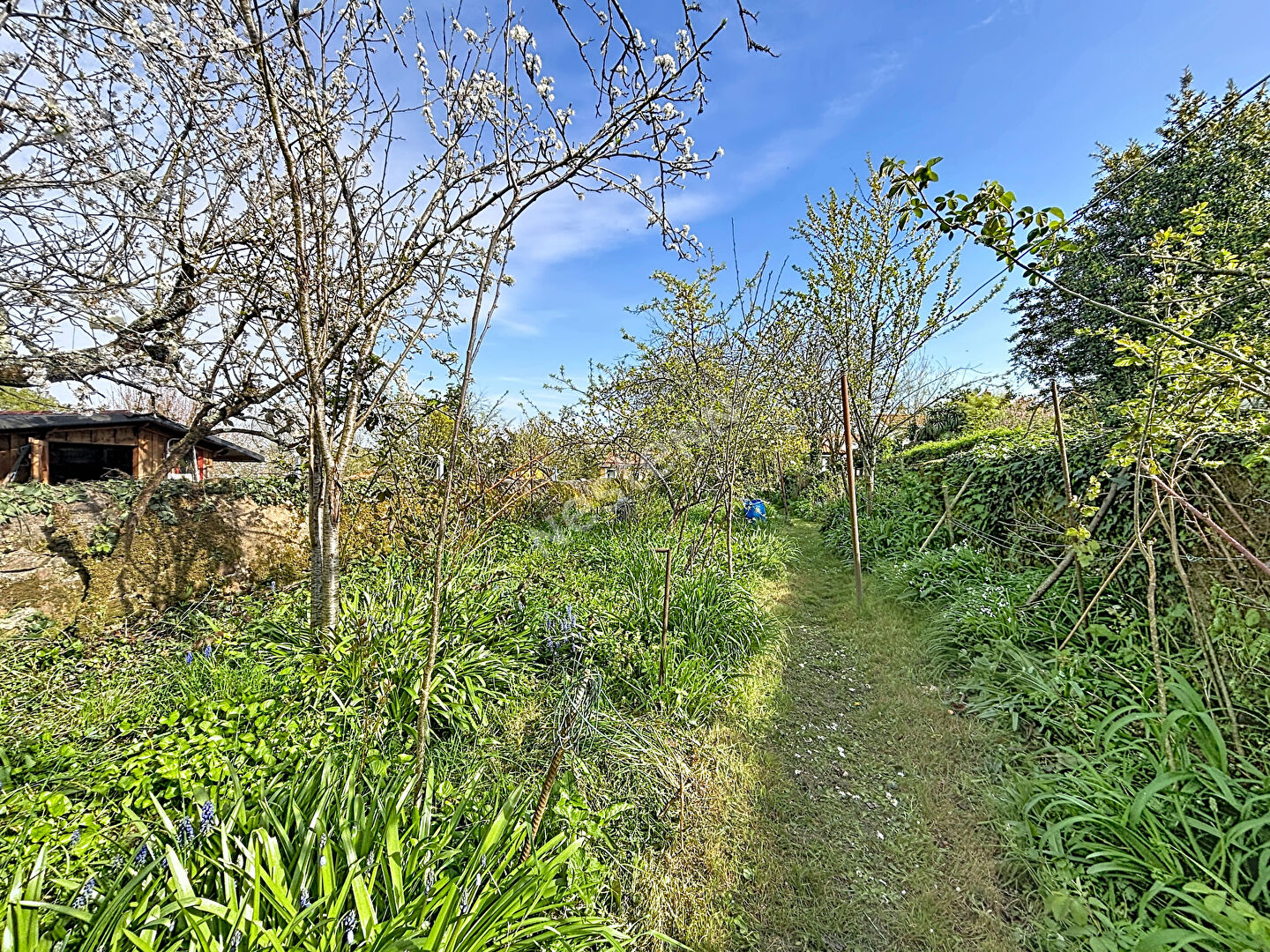 Agence immobilière de NESTENN REZE