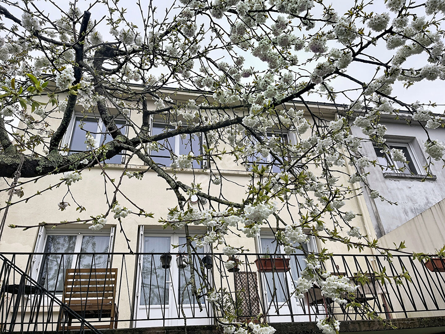 Agence immobilière de AVIS Immobilier Nantes Rond Point Vannes