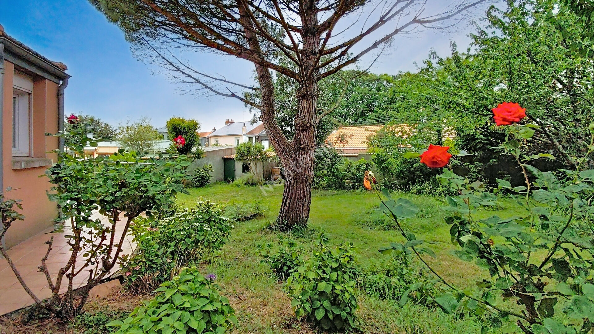Agence immobilière de AVIS Immobilier Nantes Rond Point Vannes