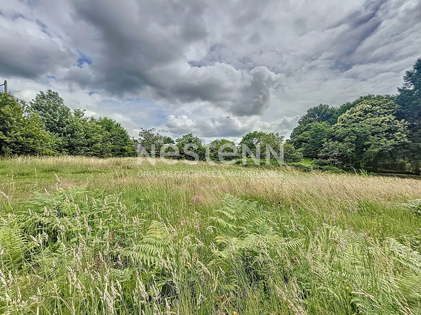 Terrain à vendre de 3475 m² à Chanteix - La Borderie