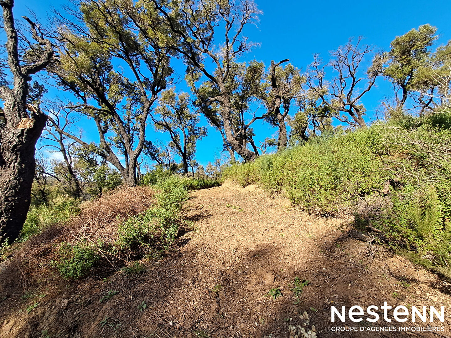 Agence immobilière de NESTENN CAVALAIRE - NESTENN CAVALAIRE