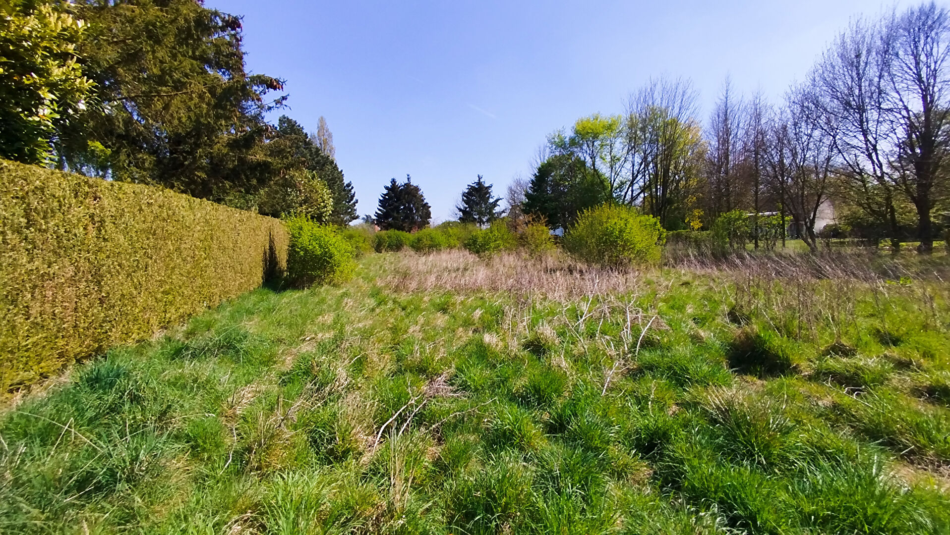 Terrain constructible de 2 386 m² à Revelles (80540)