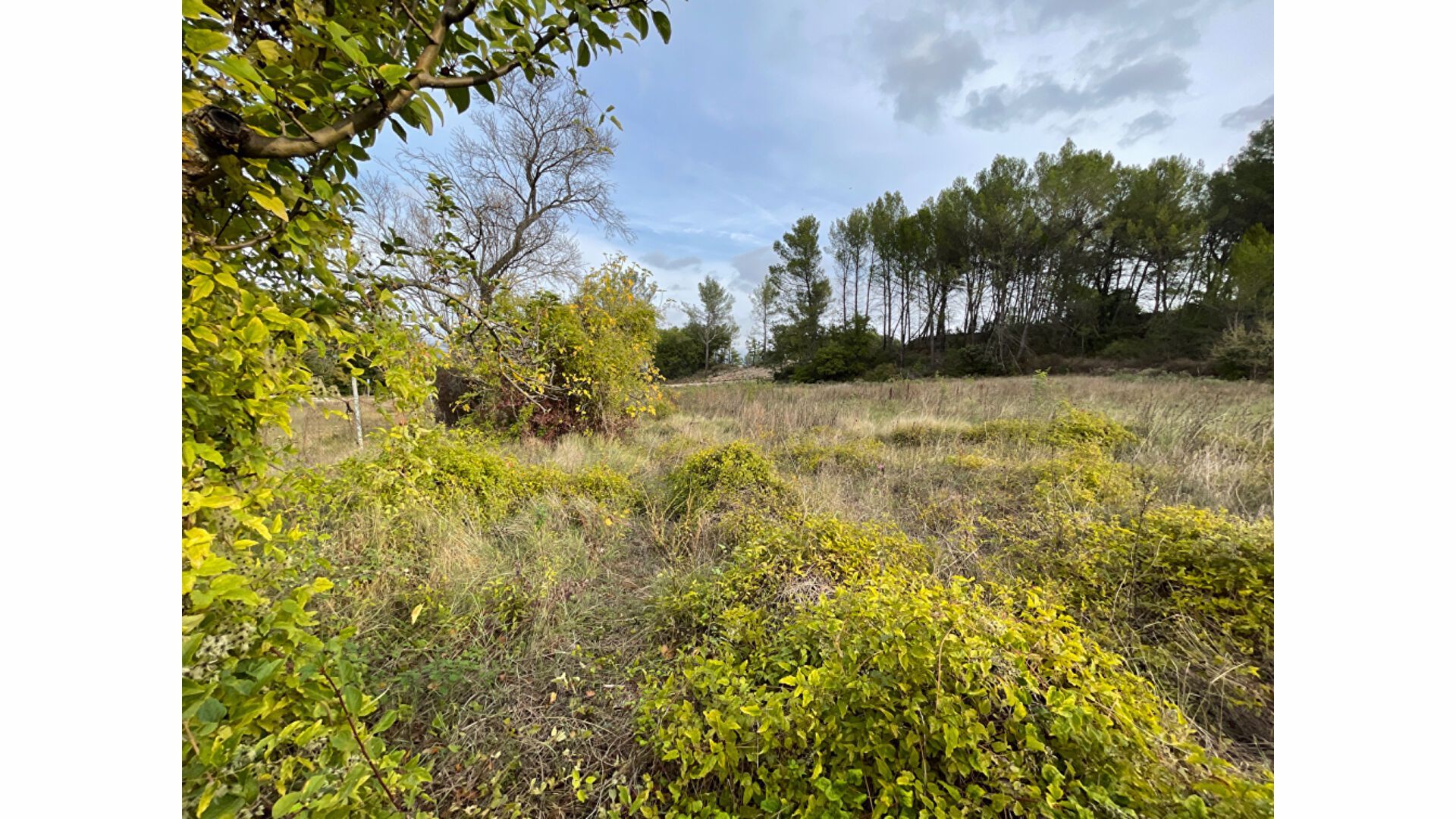 Photo Peynier - Terrain 470 m2 Viabilisé image 3/3