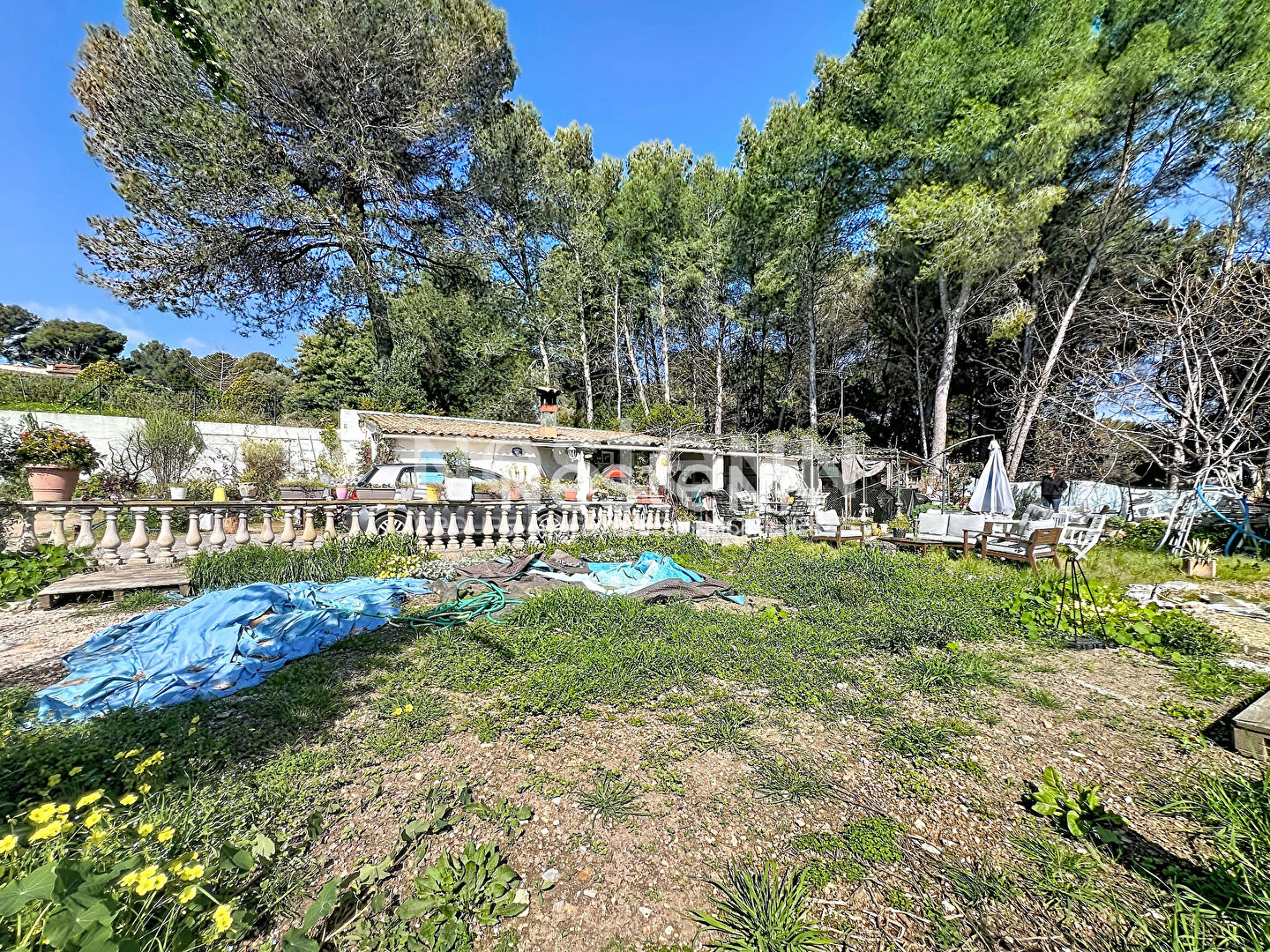 Agence immobilière de NESTENN Vallauris