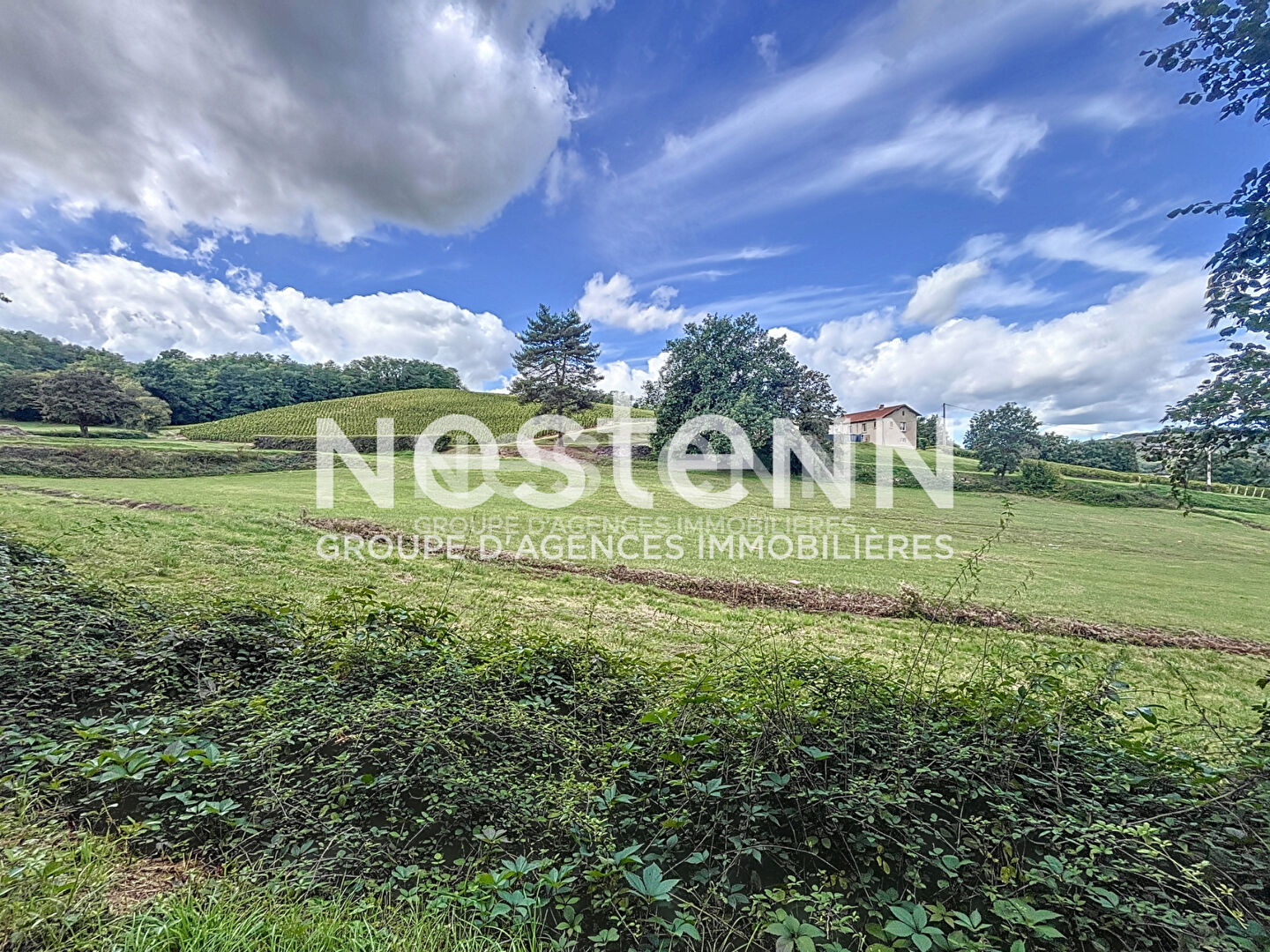 A vendre: Terrain à bâtir + Terrain naturel - 71570 SAINT AMOUR BELLEVUE