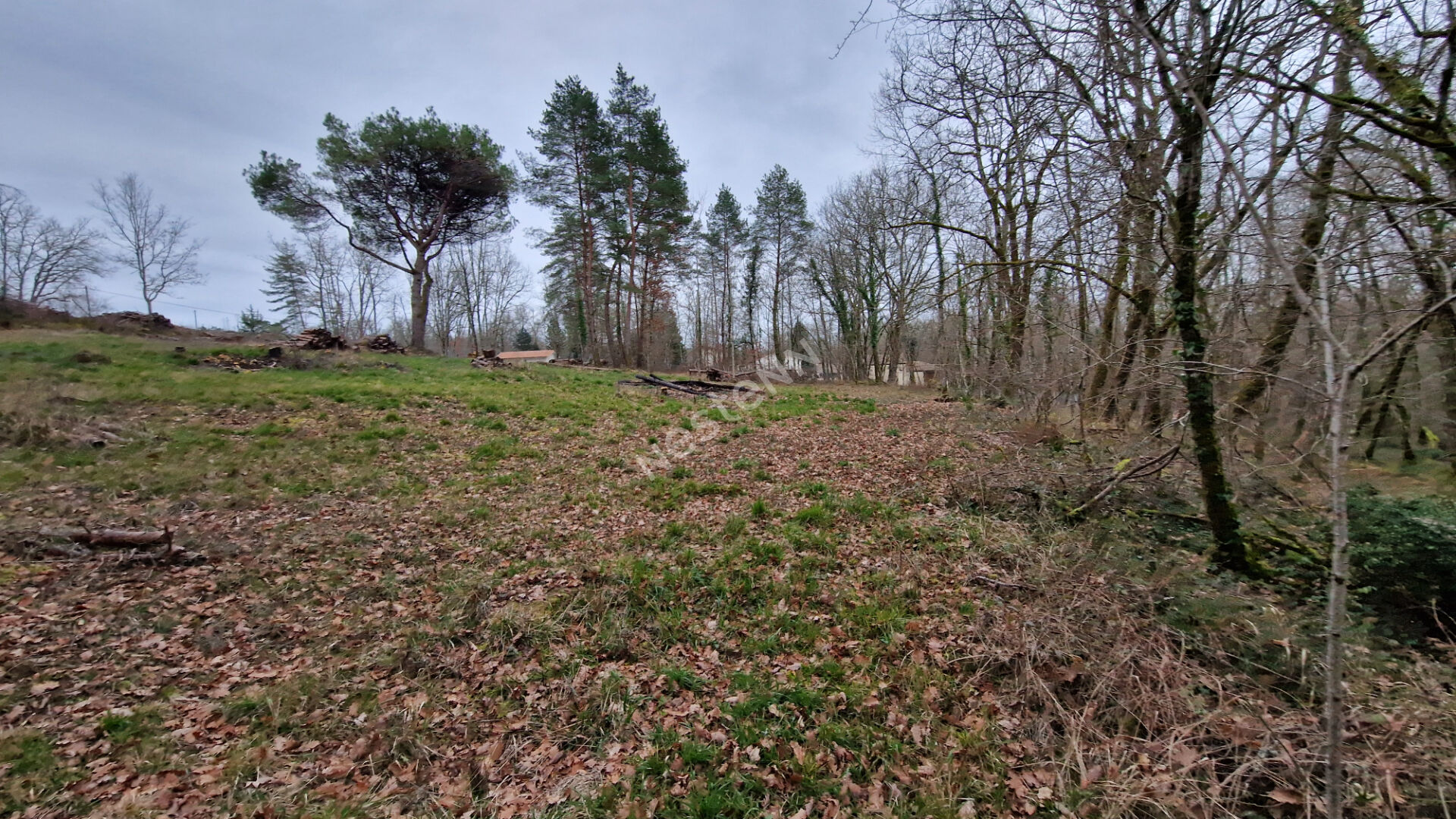 Photo Terrain de 3 137 m² à bâtir à 15 minutes au Nord de Bergerac : image 4/6