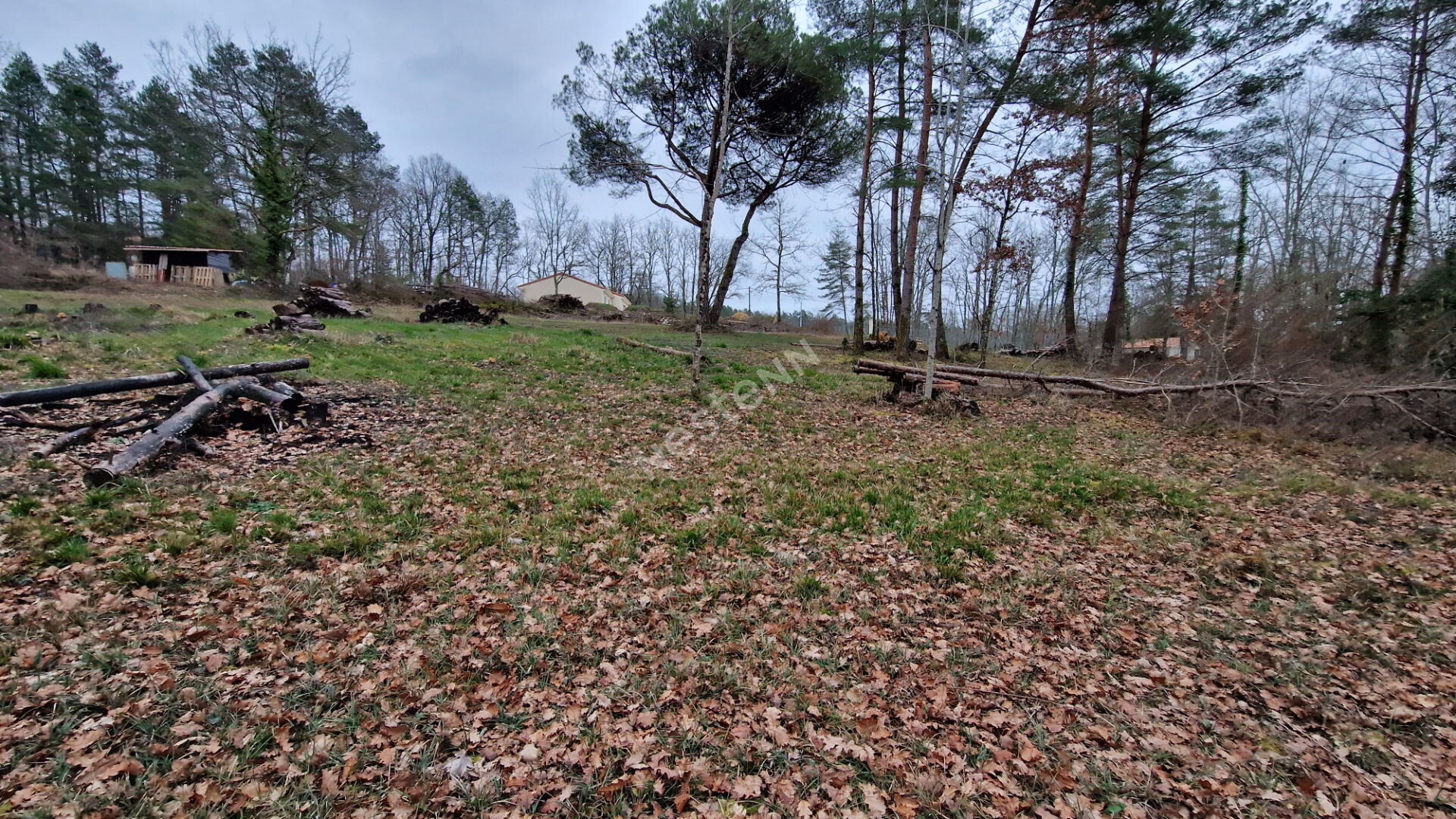 Photo Terrain de 3 137 m² à bâtir à 15 minutes au Nord de Bergerac : image 5/6