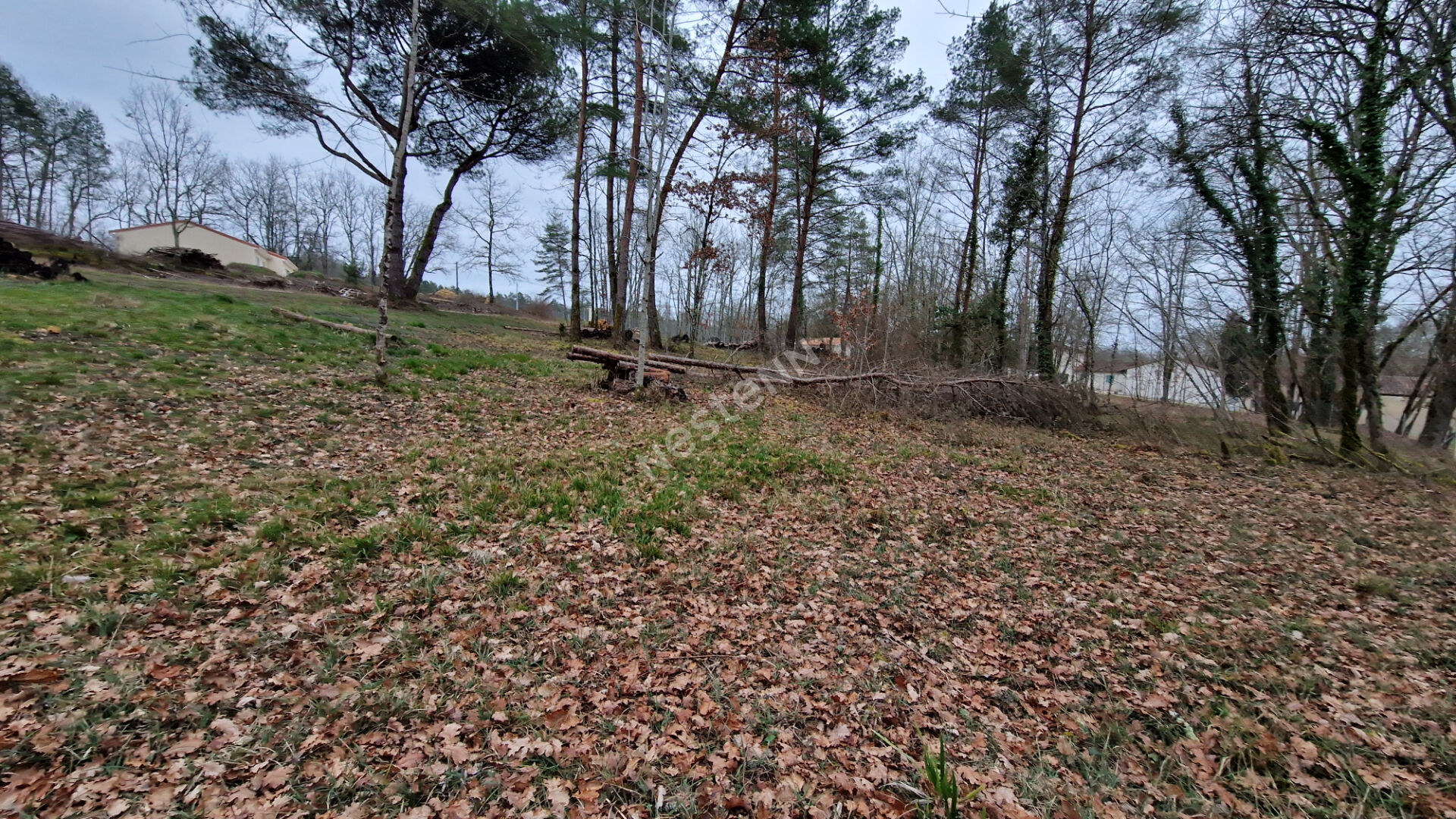 Photo Terrain de 3 137 m² à bâtir à 15 minutes au Nord de Bergerac : image 6/6
