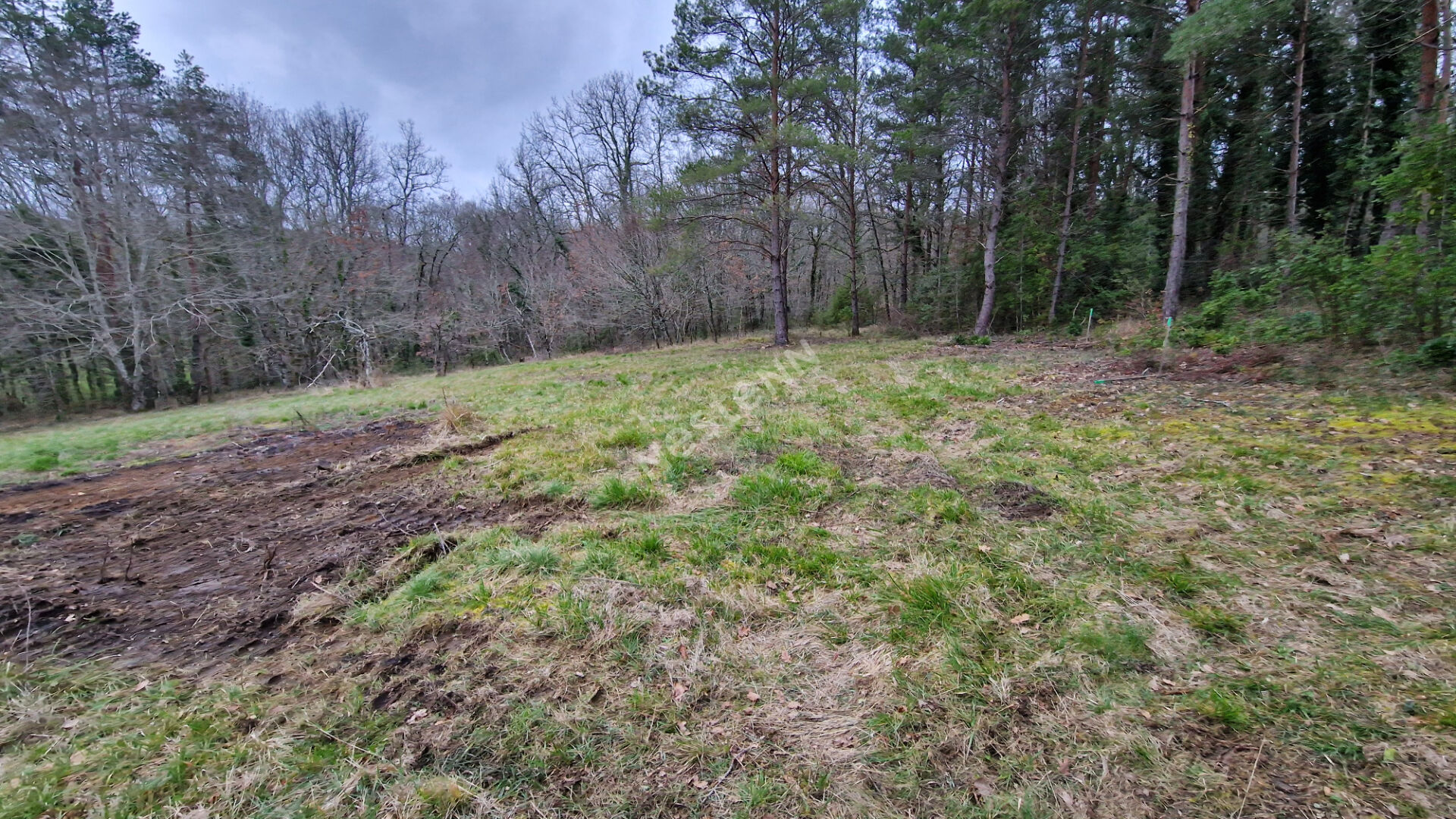 Photo Opportunité Exceptionnelle : Terrain de 1 959 m² en Première Ligne, Calme et Connecté, à 15 Minutes de Bergerac ! image 3/6