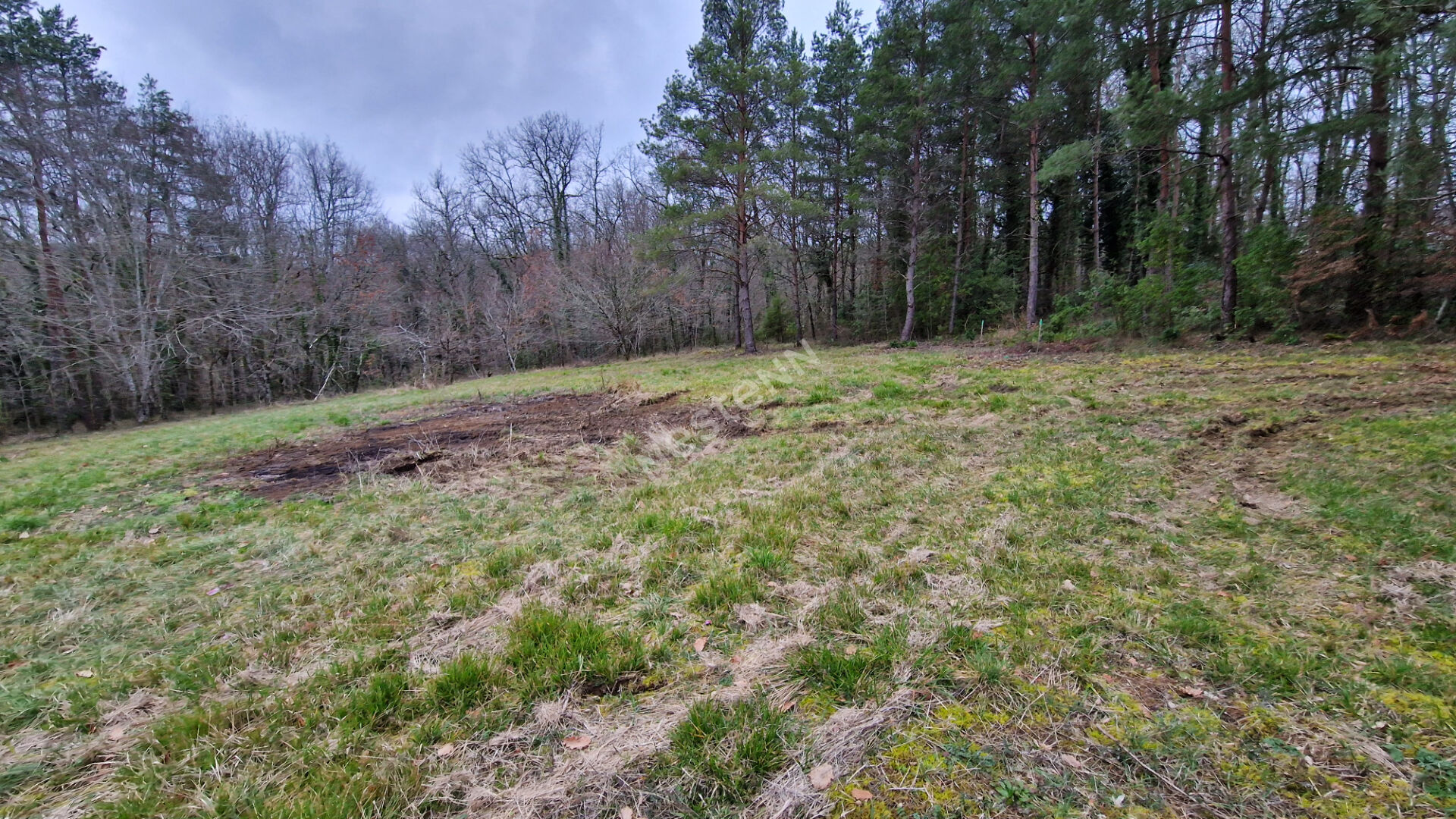 Photo Opportunité Exceptionnelle : Terrain de 1 959 m² en Première Ligne, Calme et Connecté, à 15 Minutes de Bergerac ! image 4/6